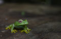 DSC1019.jpg