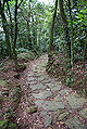 Serra do mar itutinga piloes 1.jpg