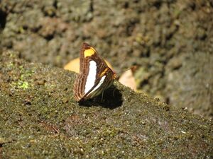 Bodoquena2875.JPG