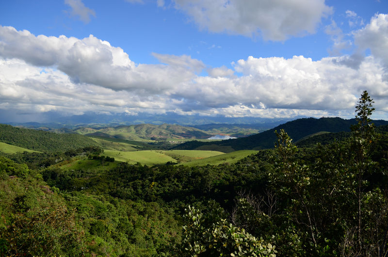 Arquivo:DSC1533.jpg