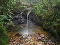 Img trilha bica serra do mar curucutu 4.jpg