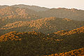 Mares de Morro - Serra do Mar.jpg