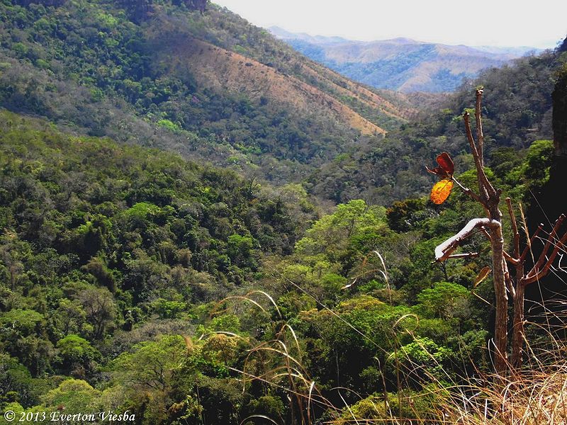 Arquivo:Parque Nacional da Chapada dos Guimarães.jpg