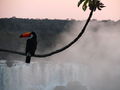 IMG 0523.JPG
