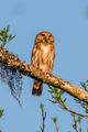 Saltos yucumã-6.jpg