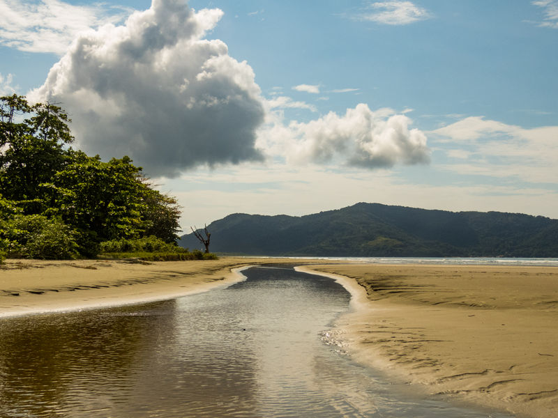 Arquivo:Quando o rio encontra o mar.jpeg