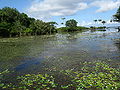 Rio Tapajos PA julho 2013 225.JPG