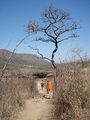 DSC03689.JPG