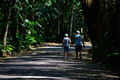 DSC3549.jpg