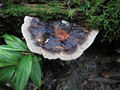 IMG 4959.jpg