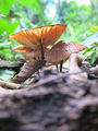 IMG 4921.jpg