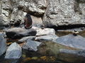 DSC03441.JPG